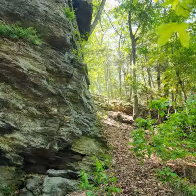 Pequonnock Valley Wildlife Management Area - Trumbull, CT