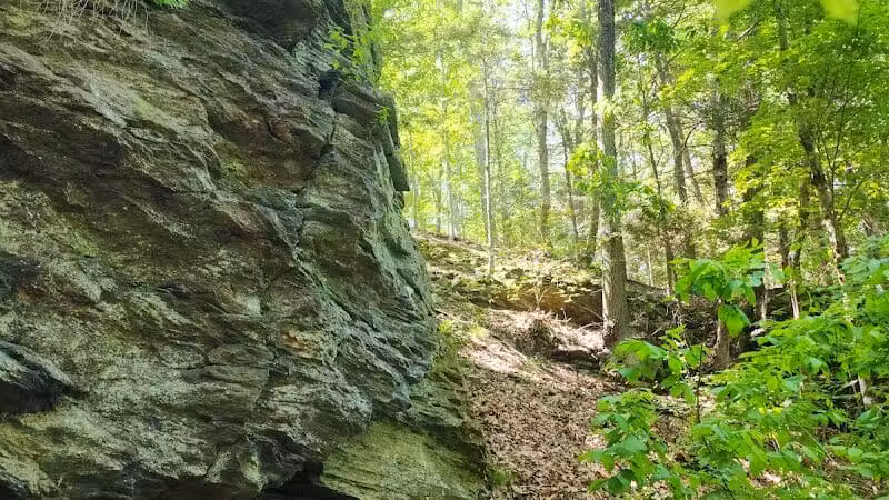 Pequonnock Valley Wildlife Management Area - Trumbull, CT