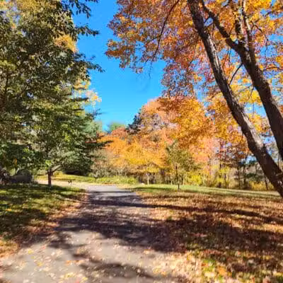 Twin Brooks Park - Trumbull, CT