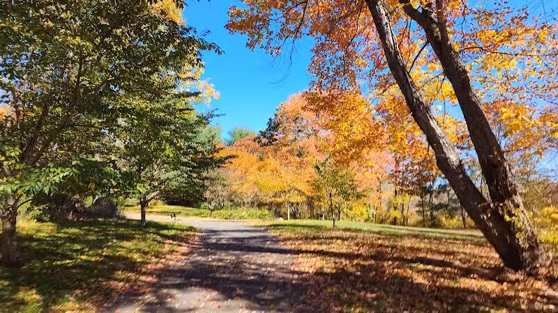 Twin Brooks Park - Trumbull, CT