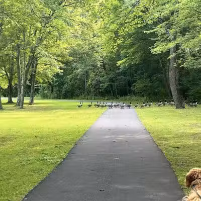 Twin Brooks Park - Trumbull, CT