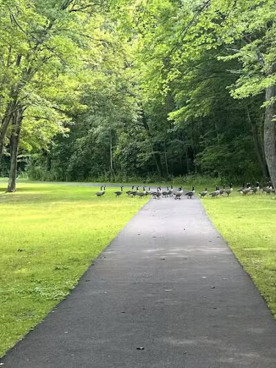 Twin Brooks Park - Trumbull, CT