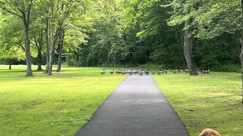 Twin Brooks Park - Trumbull, CT