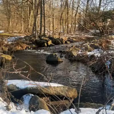 Twin Brooks Park - Trumbull, CT