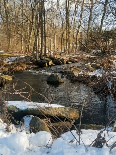 Twin Brooks Park - Trumbull, CT