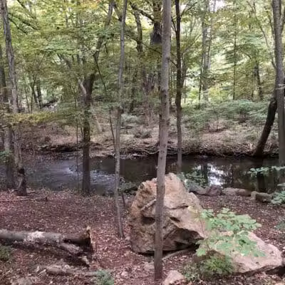 Twin Brooks Park - Trumbull, CT