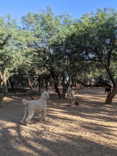 Smiling Dog Ranch Dog Park - Tucson, AZ