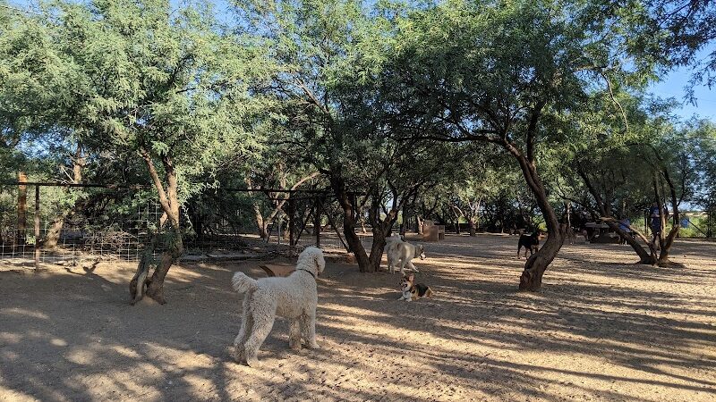 Smiling Dog Ranch Dog Park - Tucson, AZ