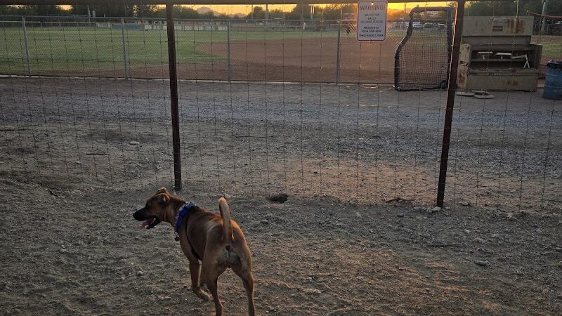 Smiling Dog Ranch Dog Park - Tucson, AZ