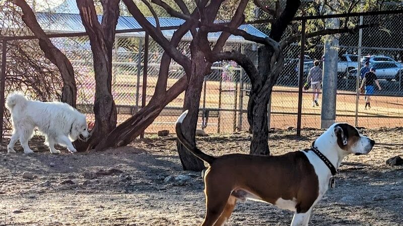 Smiling Dog Ranch Dog Park - Tucson, AZ