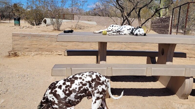 Smiling Dog Ranch Dog Park - Tucson, AZ