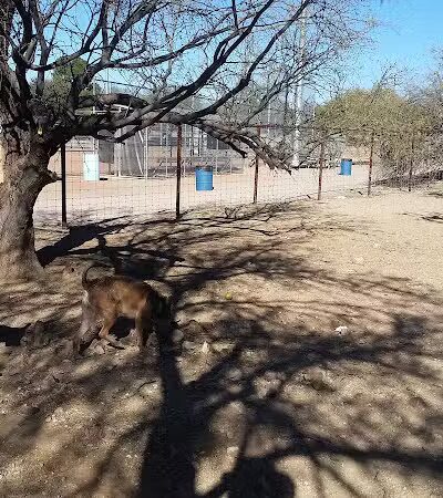 Smiling Dog Ranch Dog Park - Tucson, AZ