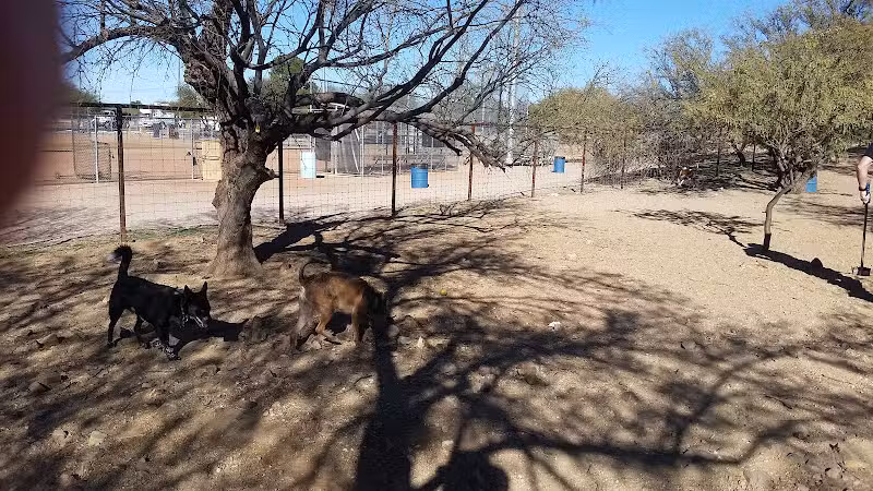 Smiling Dog Ranch Dog Park - Tucson, AZ