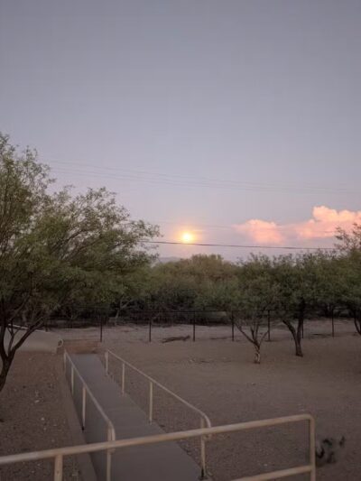 Smiling Dog Ranch Dog Park - Tucson, AZ