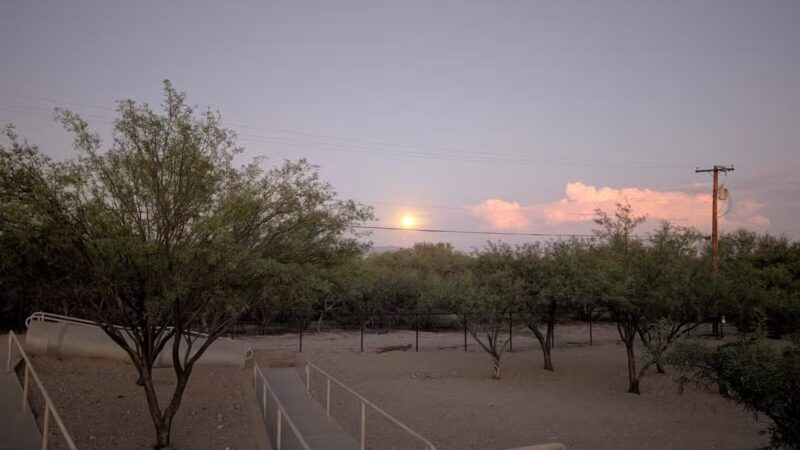 Smiling Dog Ranch Dog Park - Tucson, AZ