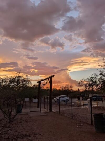 Smiling Dog Ranch Dog Park - Tucson, AZ
