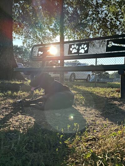 Pet Village Bark Park - Tullahoma, TN