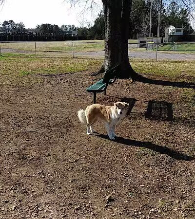 Pet Village Bark Park - Tullahoma, TN