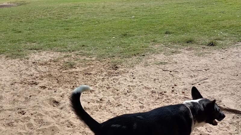 Biscuit Acres Dog Park - Tulsa, OK