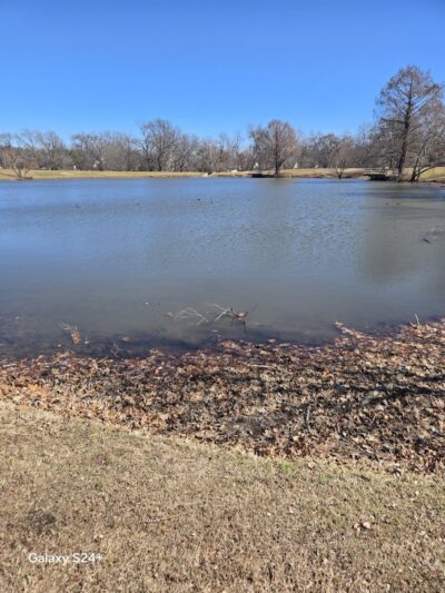 Biscuit Acres Dog Park - Tulsa, OK