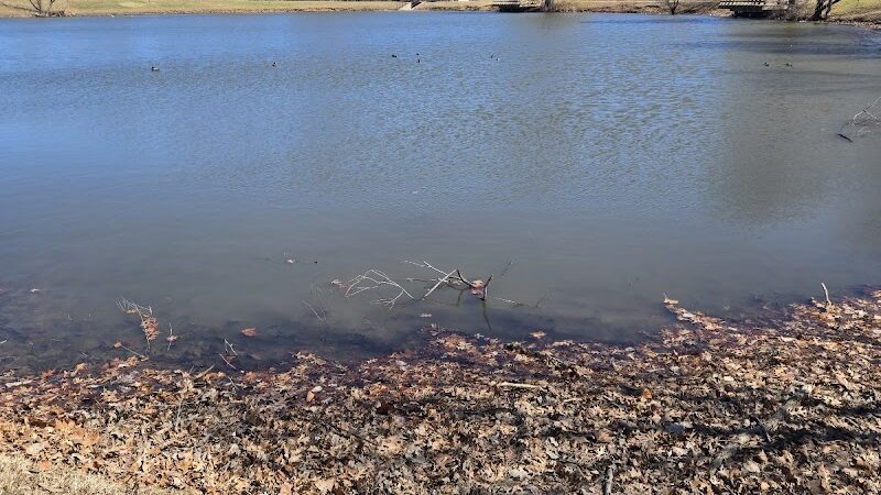 Biscuit Acres Dog Park - Tulsa, OK