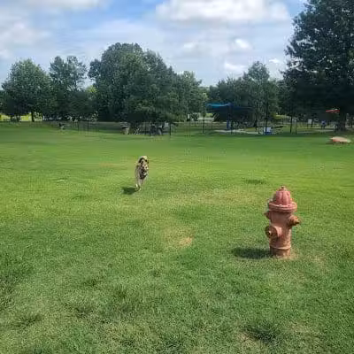 Biscuit Acres Dog Park - Tulsa, OK