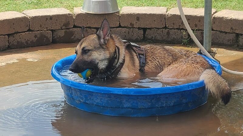 Biscuit Acres Dog Park - Tulsa, OK