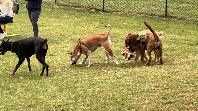 Biscuit Acres Dog Park - Tulsa, OK