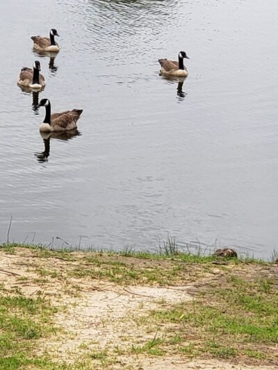 Biscuit Acres Dog Park - Tulsa, OK