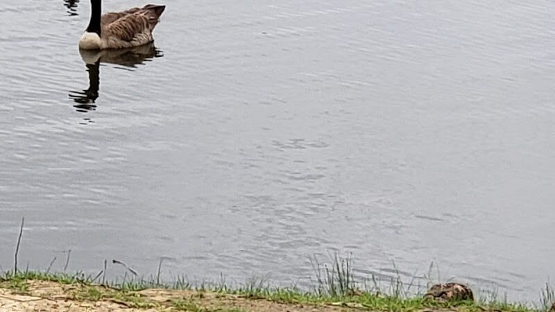 Biscuit Acres Dog Park - Tulsa, OK