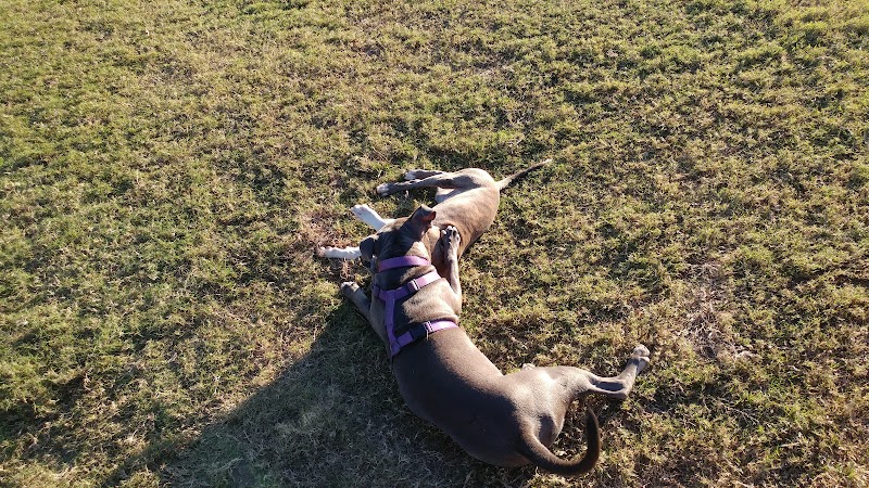 Biscuit Acres Dog Park - Tulsa, OK