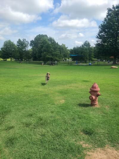 Biscuit Acres Dog Park - Tulsa, OK
