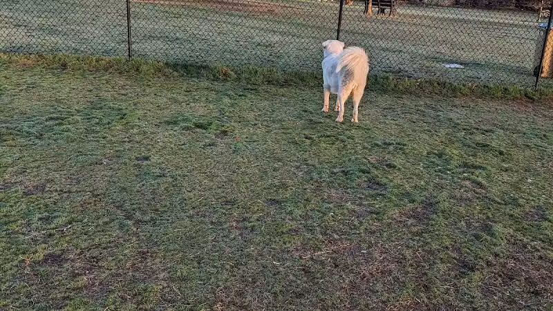 Joe Station Dog Park - Tulsa, OK