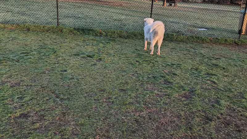 Joe Station Dog Park - Tulsa, OK