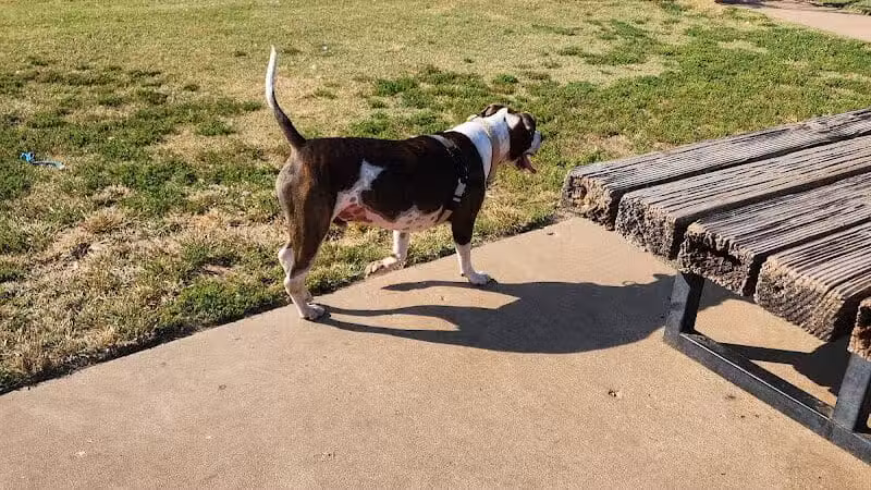 Joe Station Dog Park - Tulsa, OK