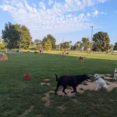 Joe Station Dog Park - Tulsa, OK