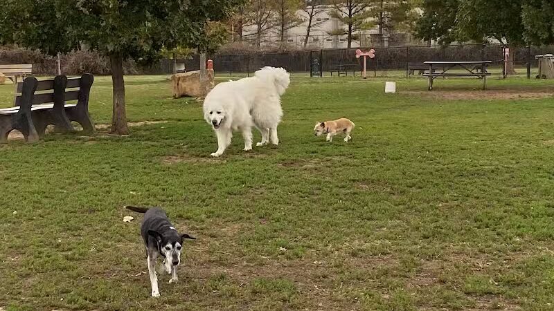 Joe Station Dog Park - Tulsa, OK