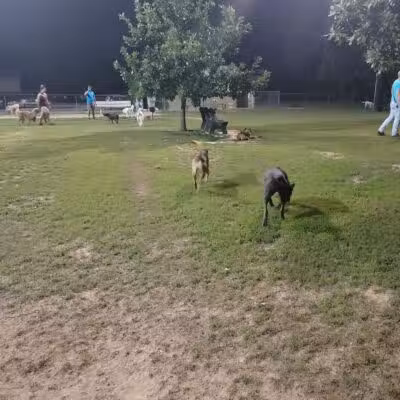 Joe Station Dog Park - Tulsa, OK
