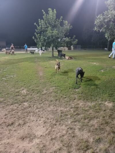 Joe Station Dog Park - Tulsa, OK