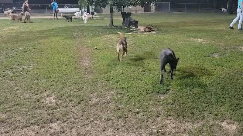 Joe Station Dog Park - Tulsa, OK