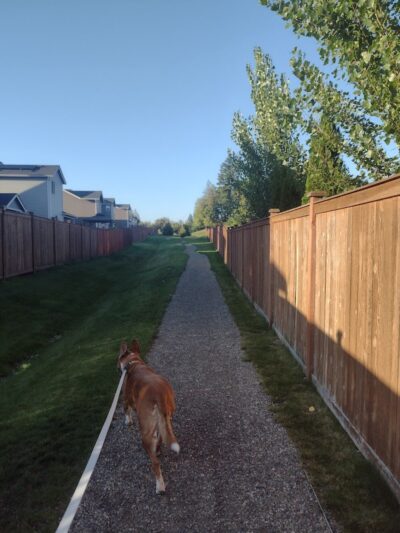 Kindred Park - Tumwater, WA