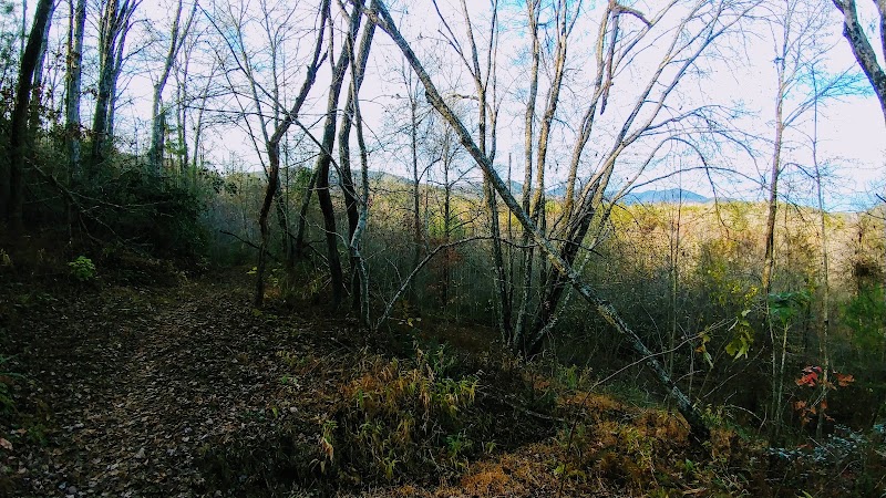 Brush Creek Trailhead - Turtletown, TN