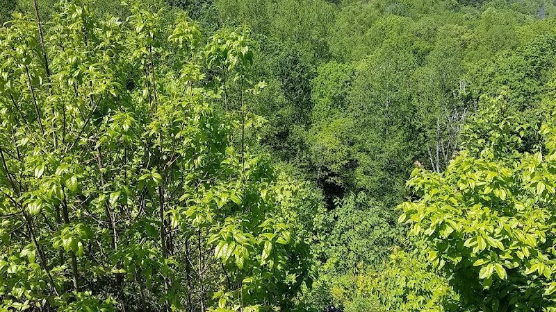 Brush Creek Trailhead - Turtletown, TN