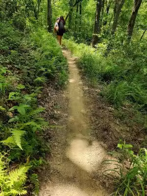 Brush Creek Trailhead - Turtletown, TN