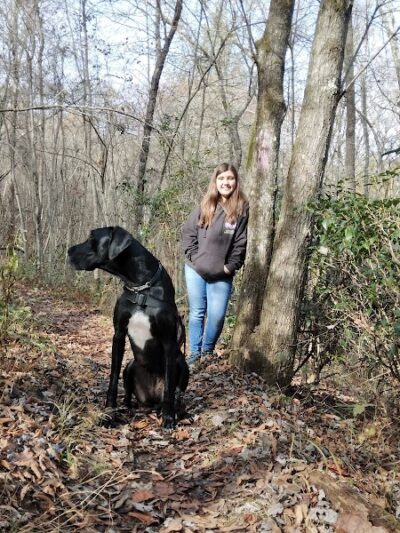 Brush Creek Trailhead - Turtletown, TN