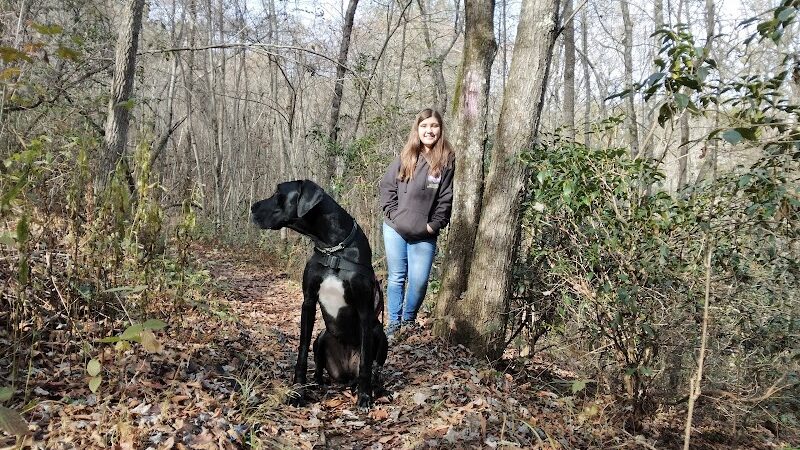 Brush Creek Trailhead - Turtletown, TN