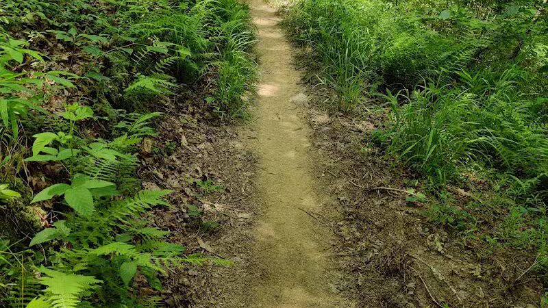 Brush Creek Trailhead - Turtletown, TN