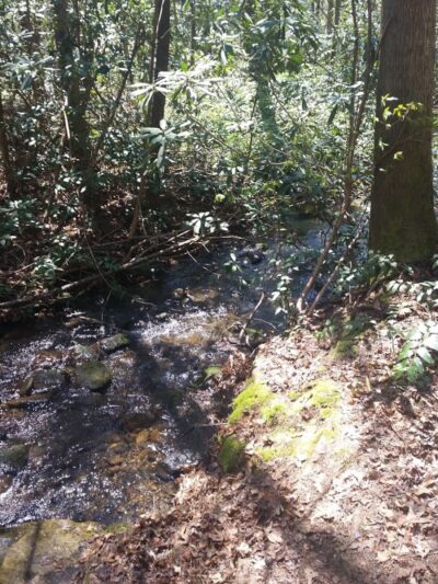Rock Creek Trailhead - Turtletown, TN