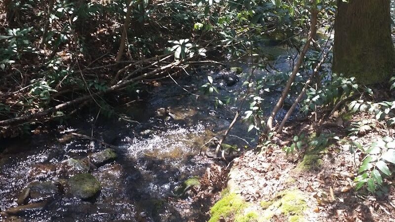 Rock Creek Trailhead - Turtletown, TN
