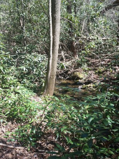 Rock Creek Trailhead - Turtletown, TN